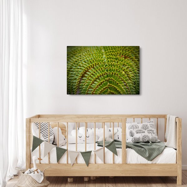 Kép - Fern (90x60 cm)