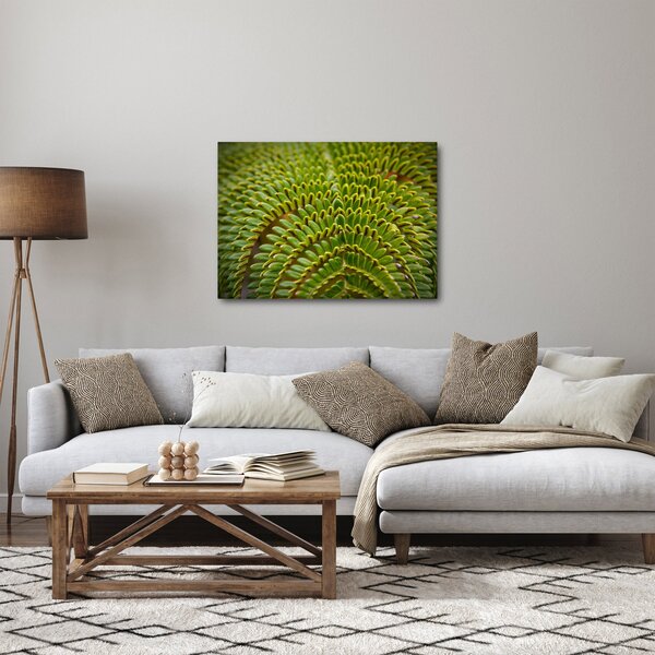 Kép - Fern (70x50 cm)