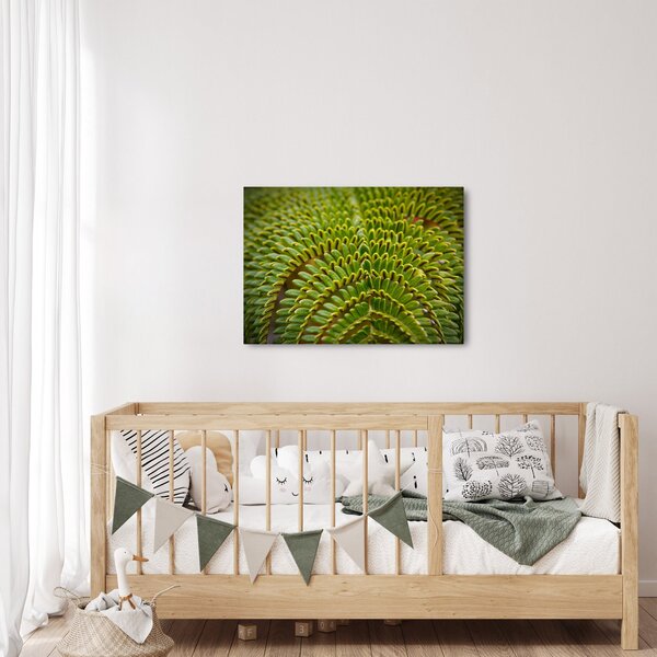 Kép - Fern (70x50 cm)