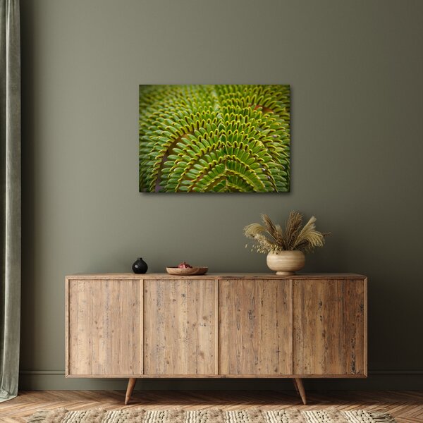 Kép - Fern (70x50 cm)