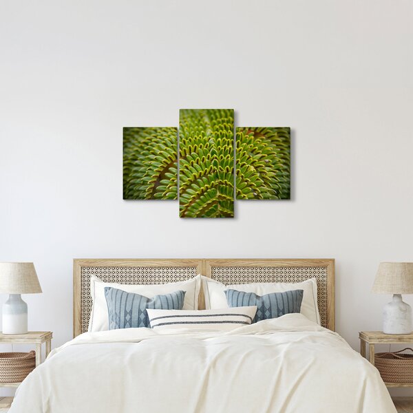 Kép - Fern (90x60 cm)