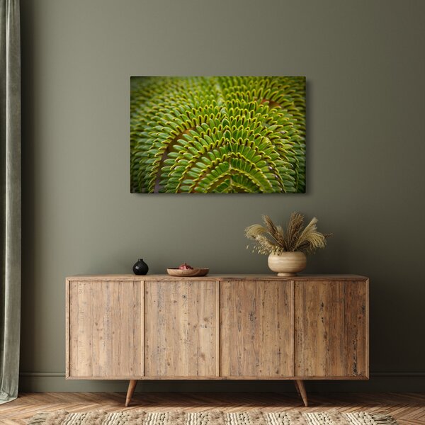 Kép - Fern (90x60 cm)