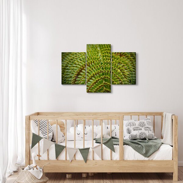 Kép - Fern (90x60 cm)