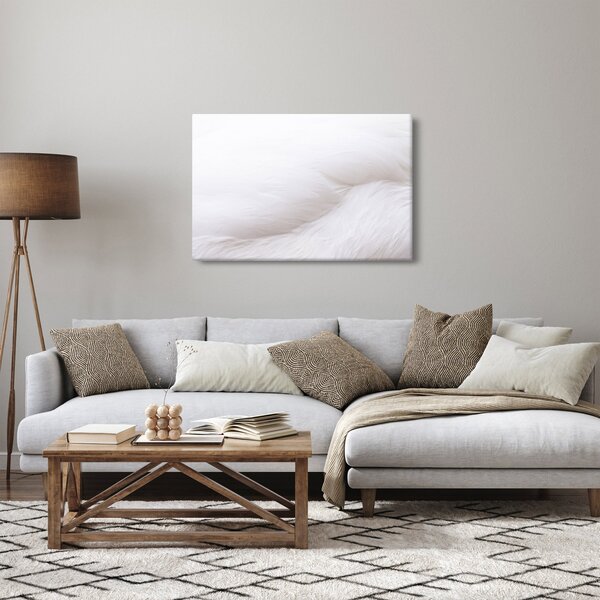 Kép - Fehér toll (90x60 cm)