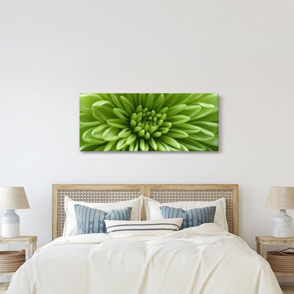 Kép - Makro kép egy növényről (120x50 cm)