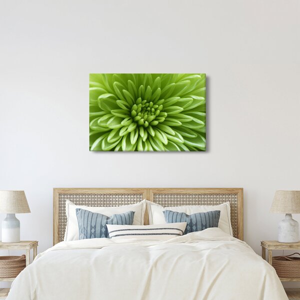 Kép - Makro kép egy növényről (90x60 cm)