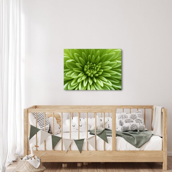 Kép - Makro kép egy növényről (70x50 cm)