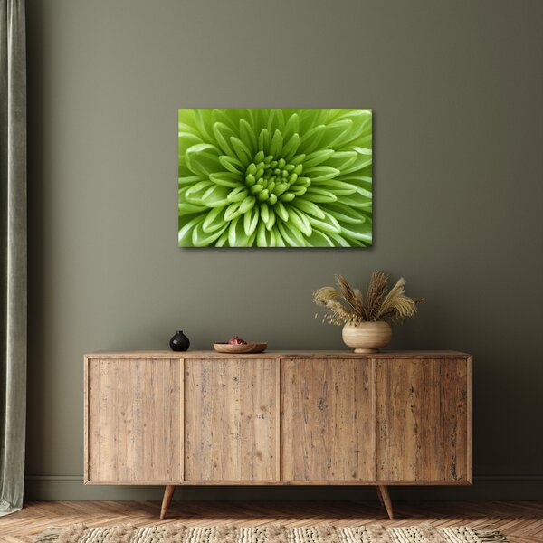 Kép - Makro kép egy növényről (70x50 cm)
