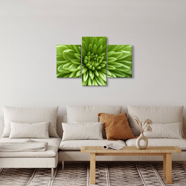 Kép - Makro kép egy növényről (90x60 cm)