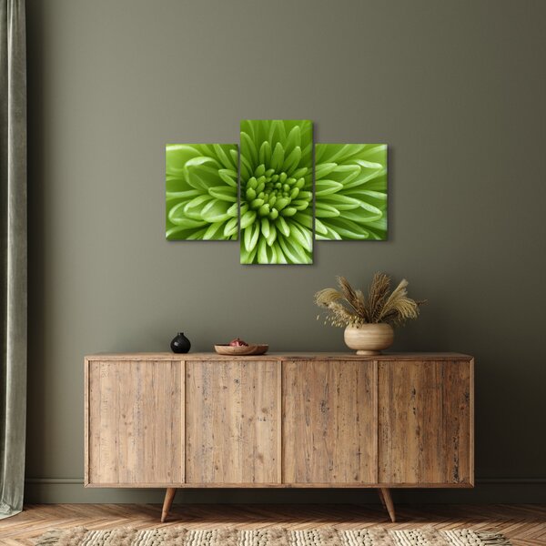 Kép - Makro kép egy növényről (90x60 cm)