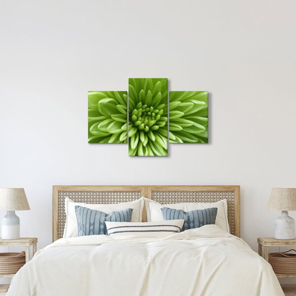 Kép - Makro kép egy növényről (90x60 cm)