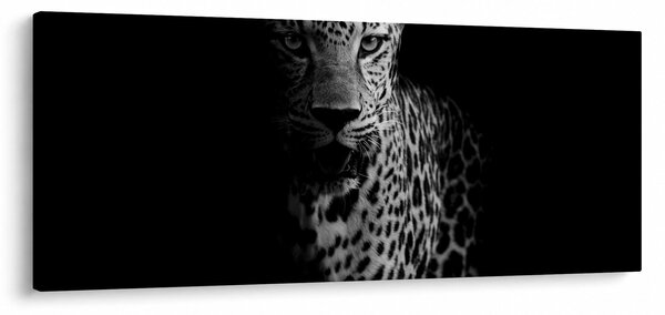 Kép - Egy leopárd portréja (120x50 cm)