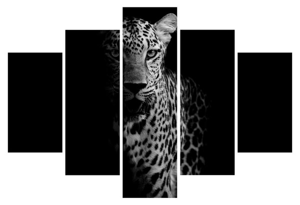 Kép - Egy leopárd portréja (150x105 cm)