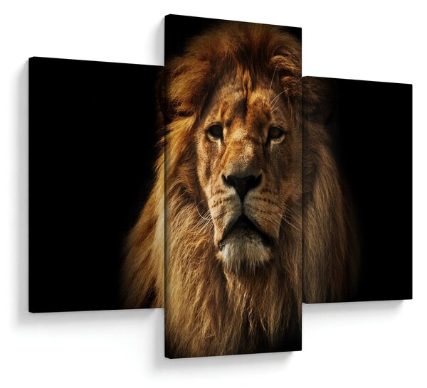 Kép - Dús sörényű oroszlán (90x60 cm)