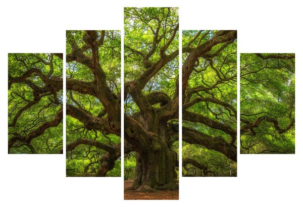 Kép - Zöld fa (150x105 cm)