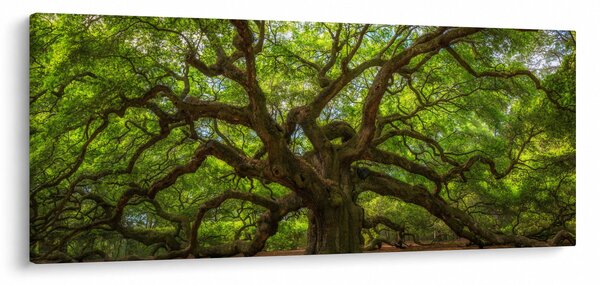 Kép - Zöld fa (120x50 cm)