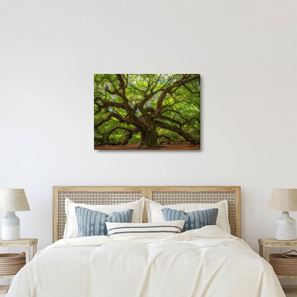 Kép - Zöld fa (70x50 cm)