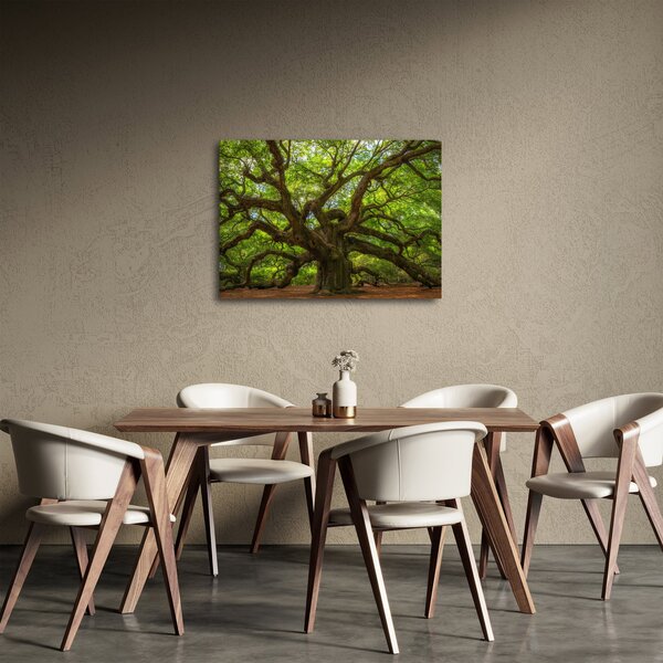Kép - Zöld fa (70x50 cm)