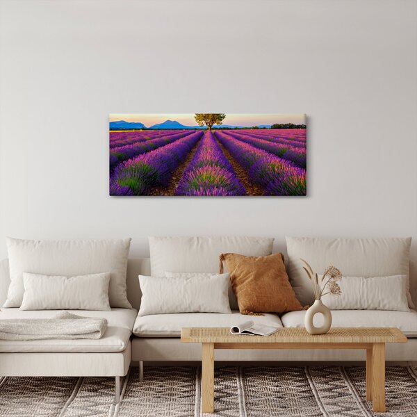 Kép - Levendula mező (120x50 cm)