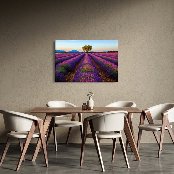 Kép - Levendula mező (90x60 cm)