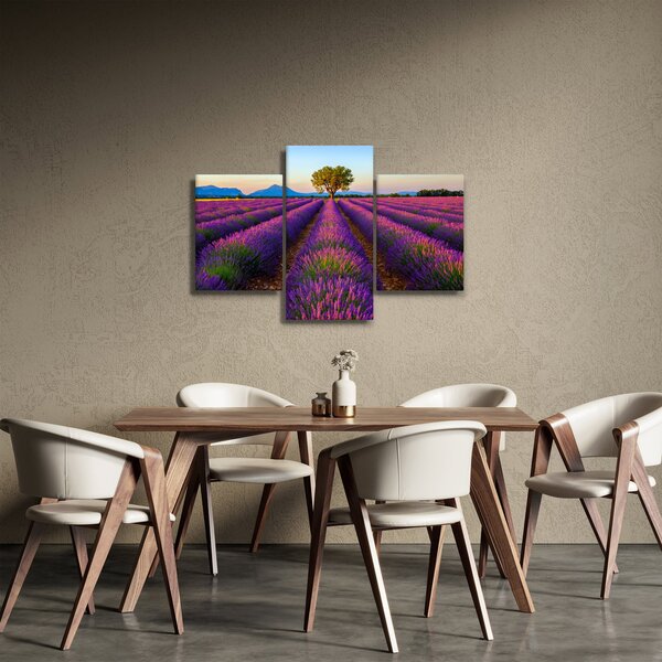 Kép - Levendula mező (90x60 cm)