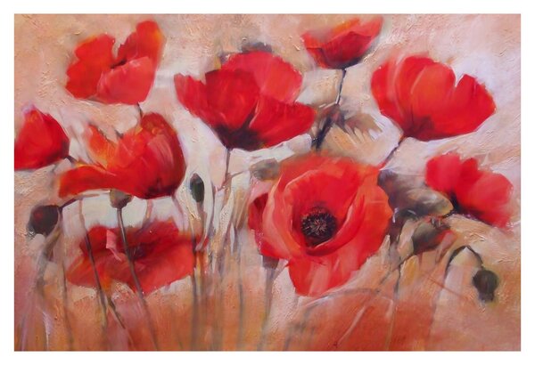 Kép - Farkas mák (90x60 cm)