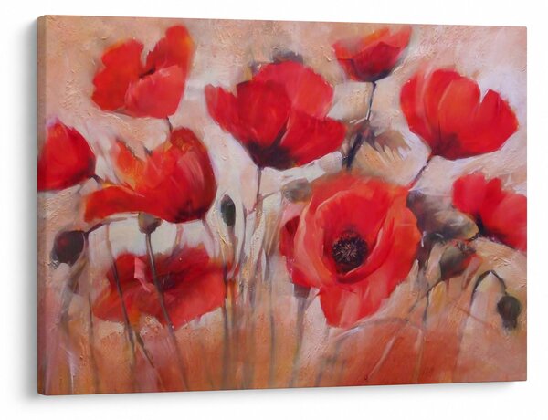 Kép - Farkas mák (70x50 cm)