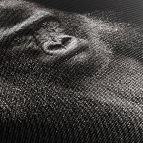 Kép - Gorilla (120x50 cm)