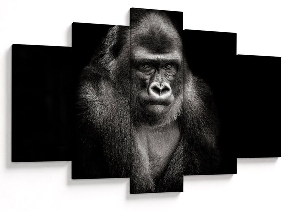 Kép - Gorilla (150x105 cm)