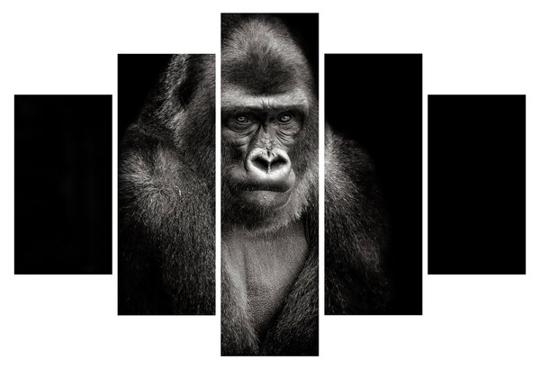 Kép - Gorilla (150x105 cm)