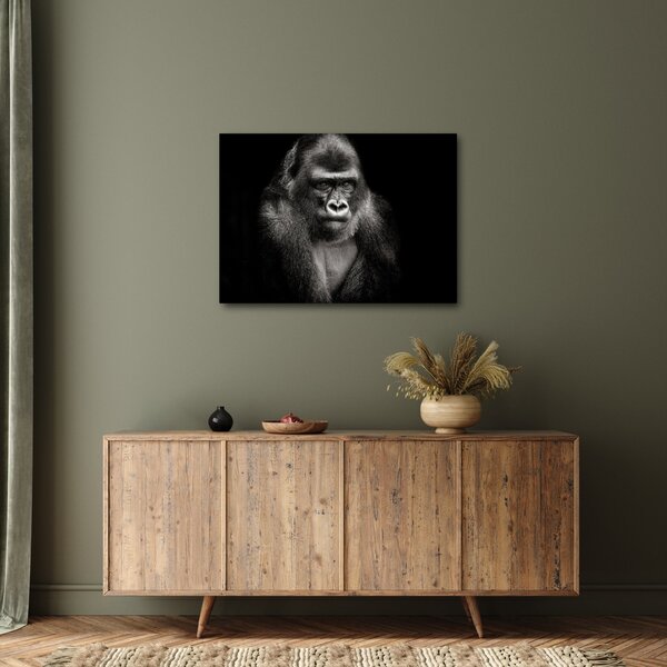 Kép - Gorilla (70x50 cm)