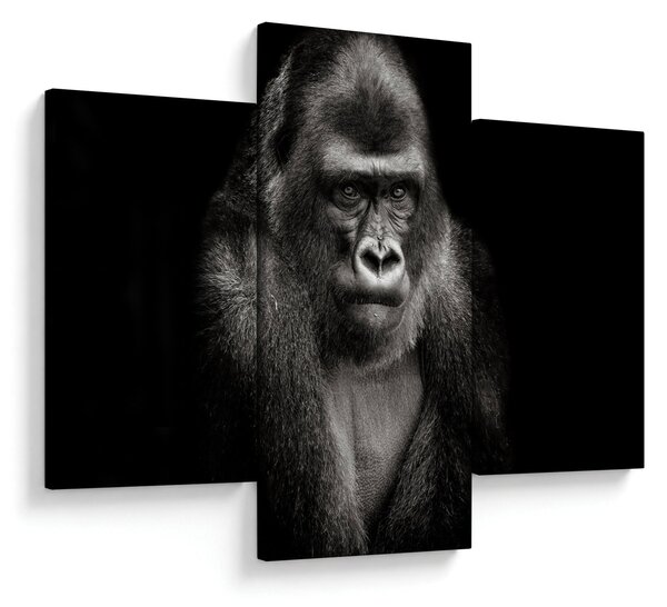 Kép - Gorilla (90x60 cm)