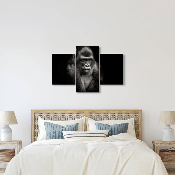 Kép - Gorilla (90x60 cm)