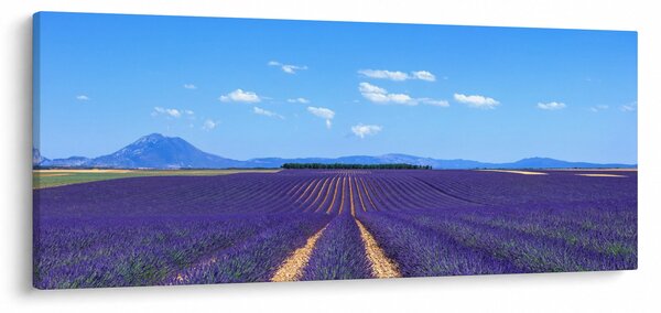 Kép - Levendula mező (120x50 cm)