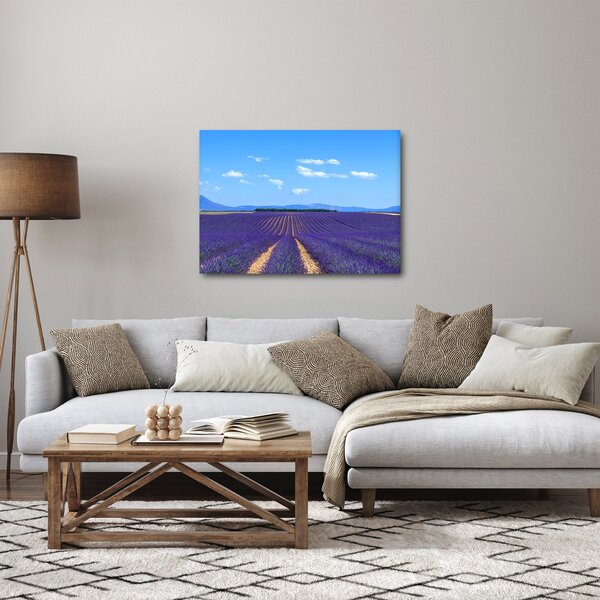Kép - Levendula mező (70x50 cm)