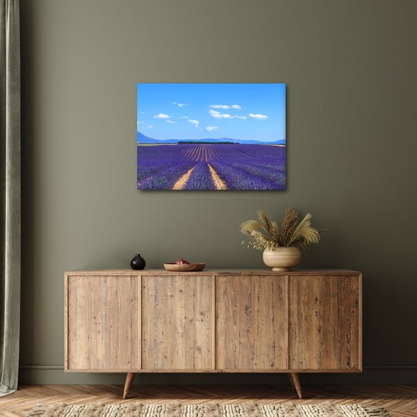 Kép - Levendula mező (70x50 cm)