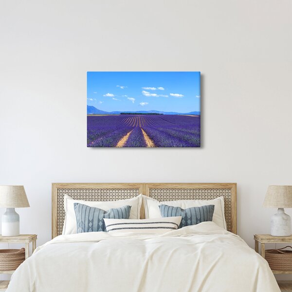 Kép - Levendula mező (90x60 cm)