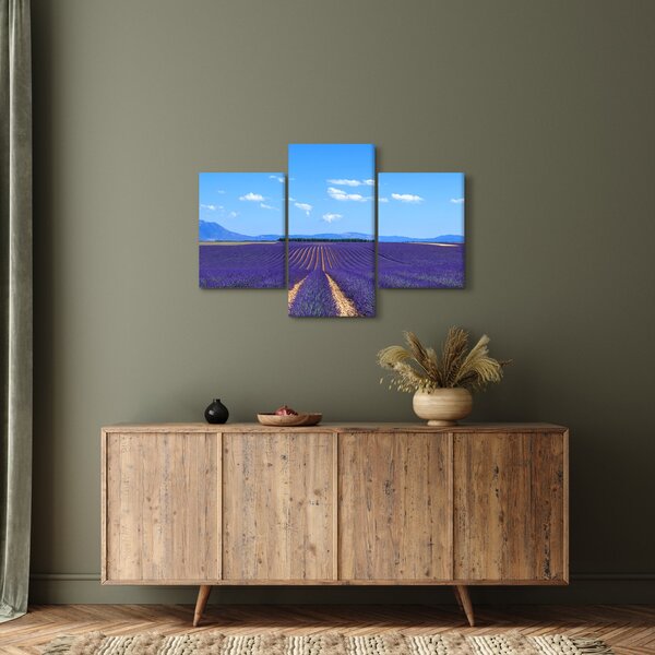 Kép - Levendula mező (90x60 cm)