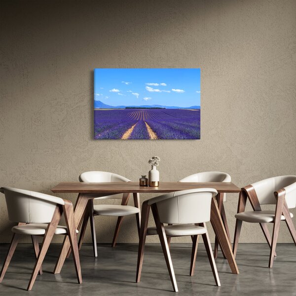 Kép - Levendula mező (90x60 cm)