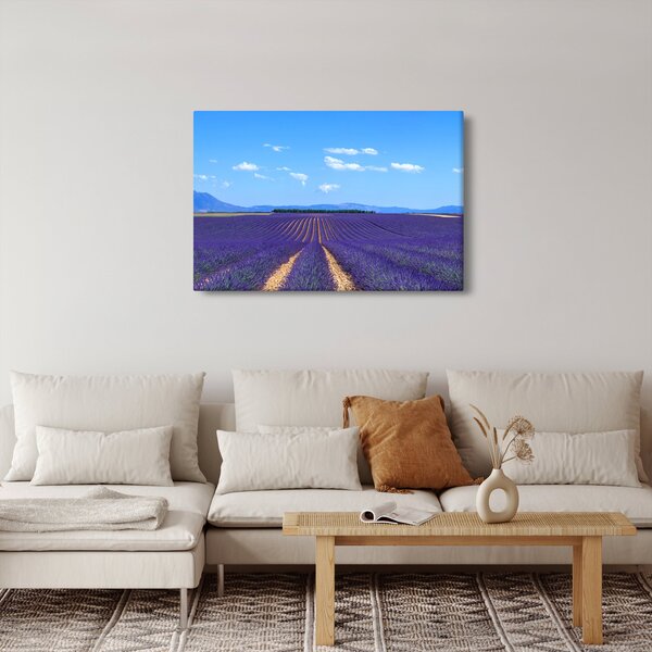 Kép - Levendula mező (90x60 cm)
