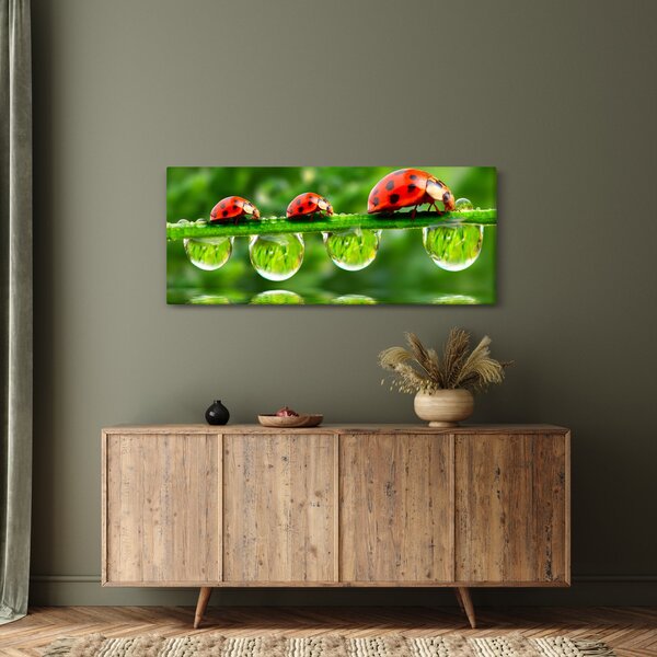 Kép - A hét nap napfénye (120x50 cm)