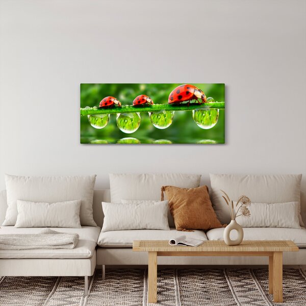 Kép - A hét nap napfénye (120x50 cm)