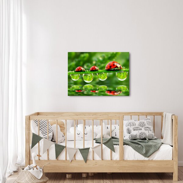 Kép - A hét nap napfénye (70x50 cm)