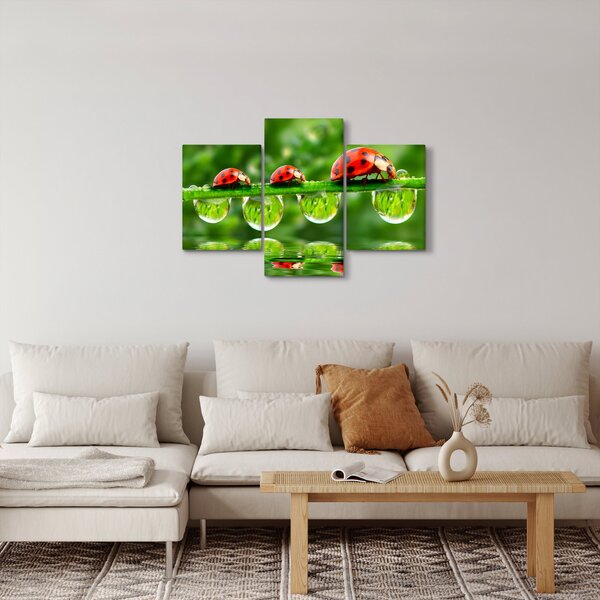 Kép - A hét nap napfénye (90x60 cm)