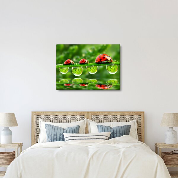 Kép - A hét nap napfénye (70x50 cm)