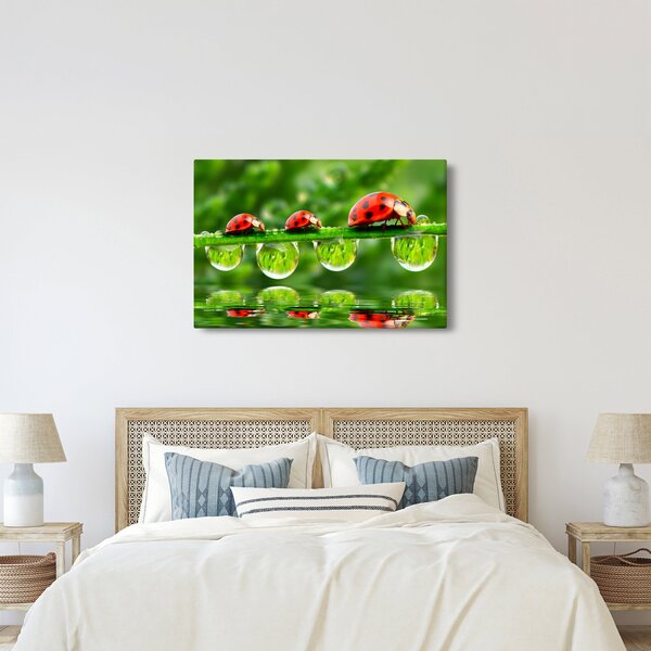 Kép - A hét nap napfénye (90x60 cm)
