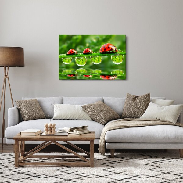 Kép - A hét nap napfénye (90x60 cm)