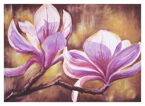 Kép - Magnólia virágok (70x50 cm)