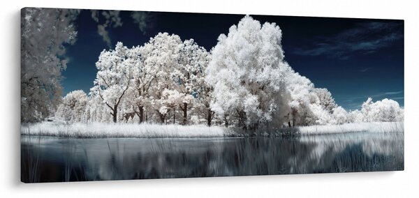 Kép - Hófehér fák (120x50 cm)