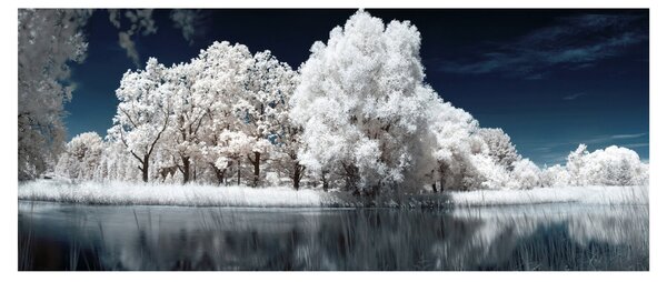 Kép - Hófehér fák (120x50 cm)